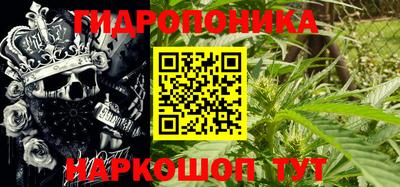 хмурый Гай
