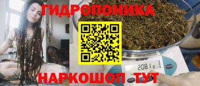 jwh Гатчина